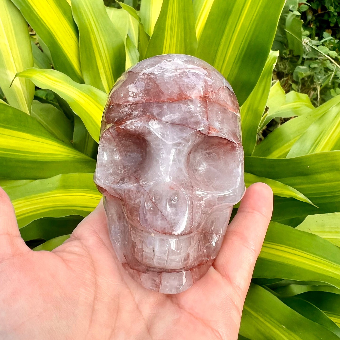 Hematoid Quartz Skull