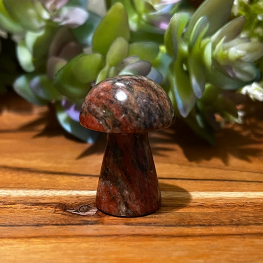 Red Zebra Jasper Mushroom