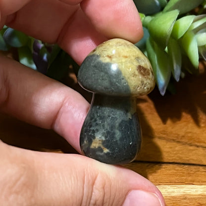 Ocean Jasper Mushroom