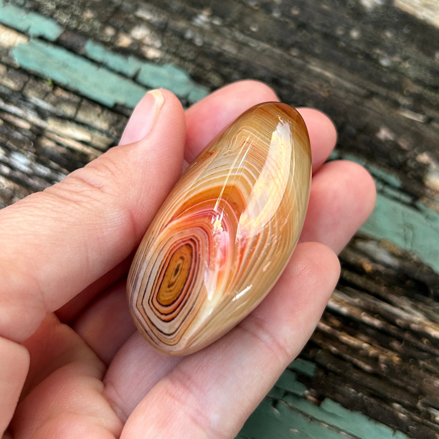 Sardonyx “Silk Agate”Palm Stone”