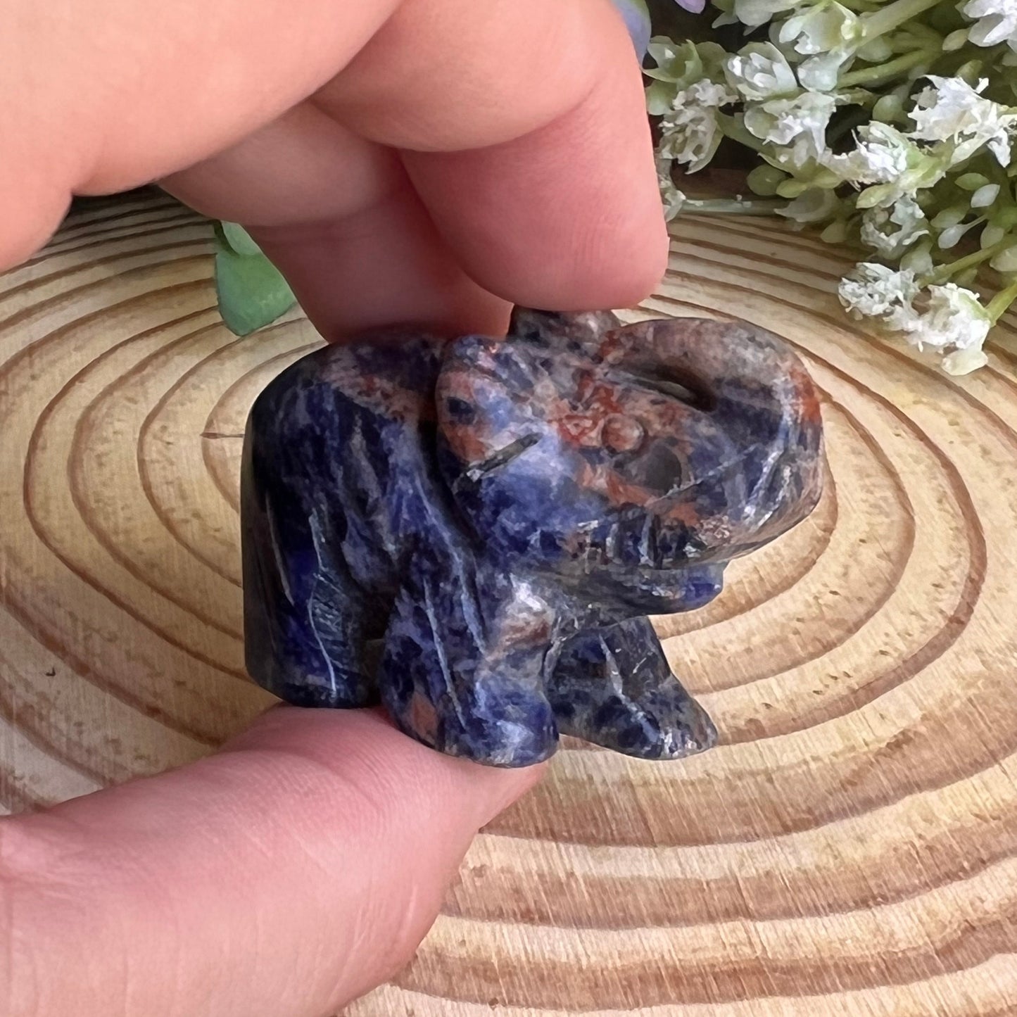 Sodalite Elephant