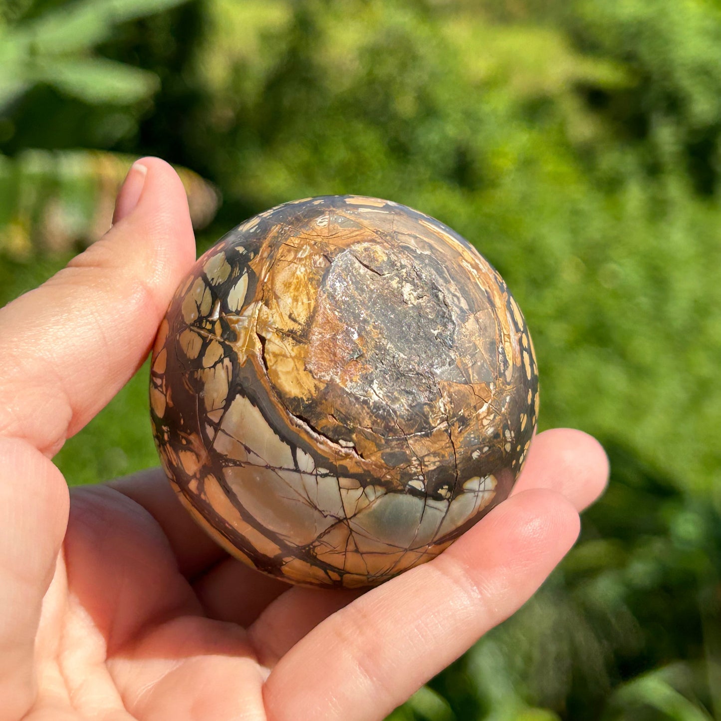 Rare Septarian Sphere