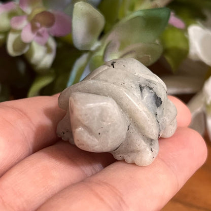 Moonstone Turtle