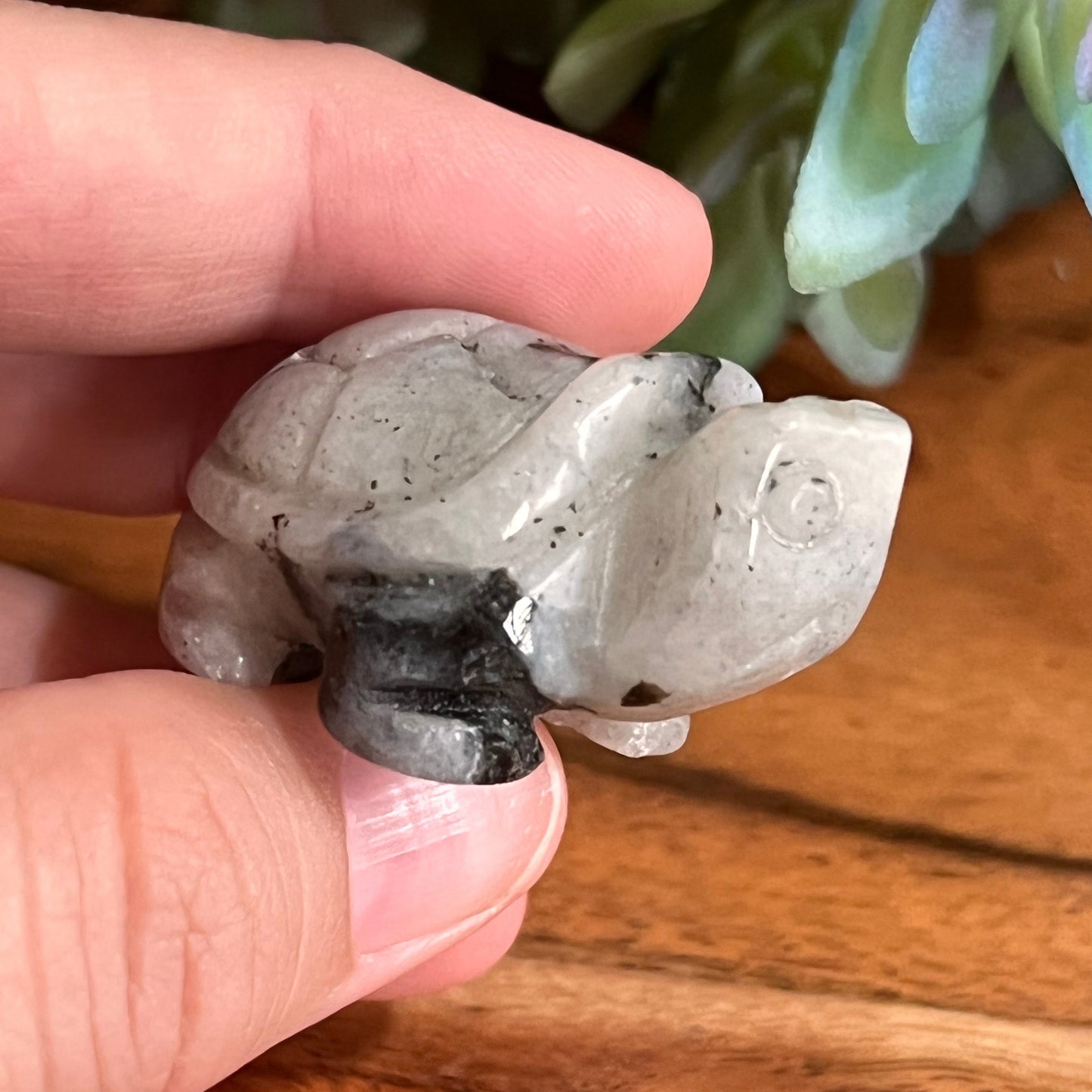 Moonstone Turtle