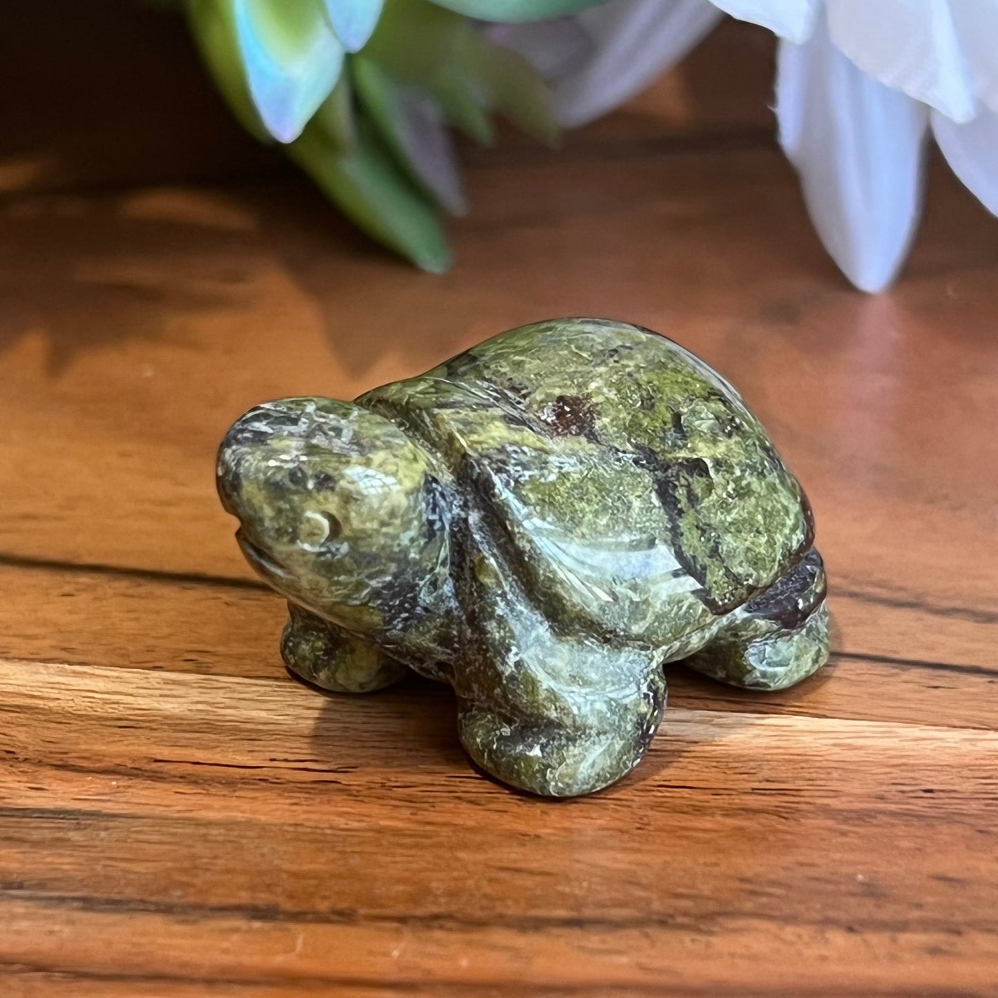 Dragon Blood Jasper Turtle