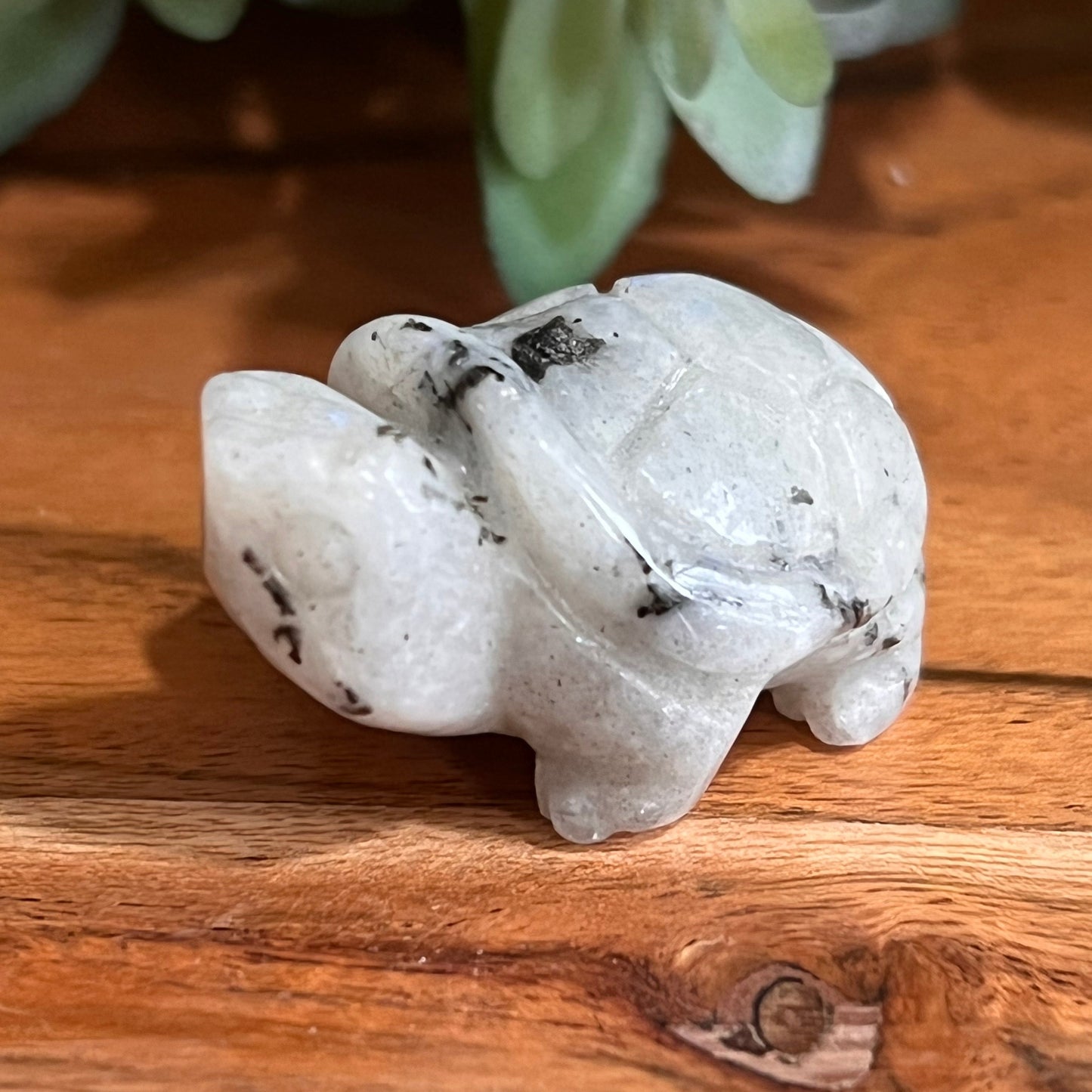 Moonstone Turtle