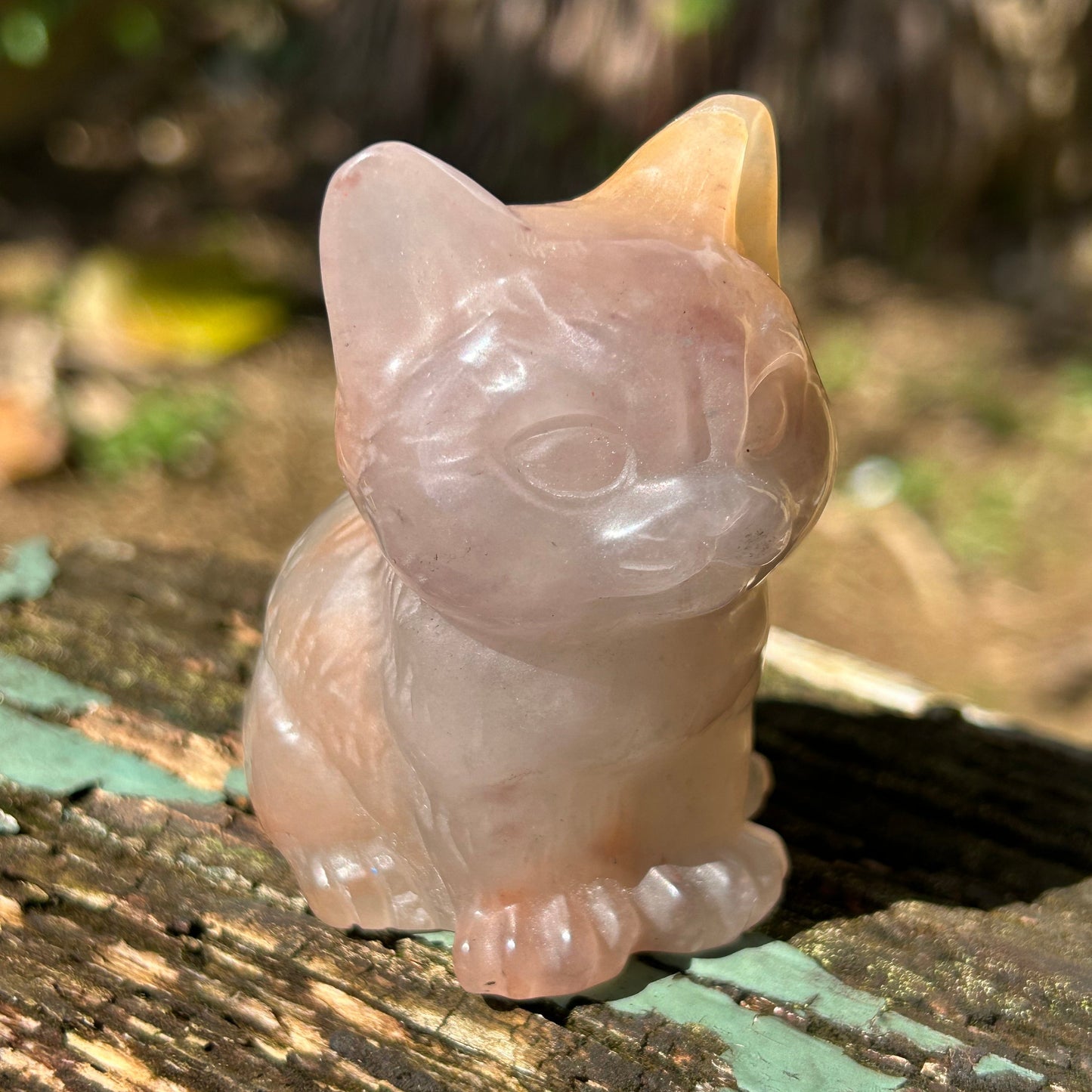 Flower Agate Cat