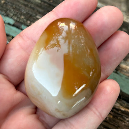 Sardonyx “Silk Agate”Palm Stone”