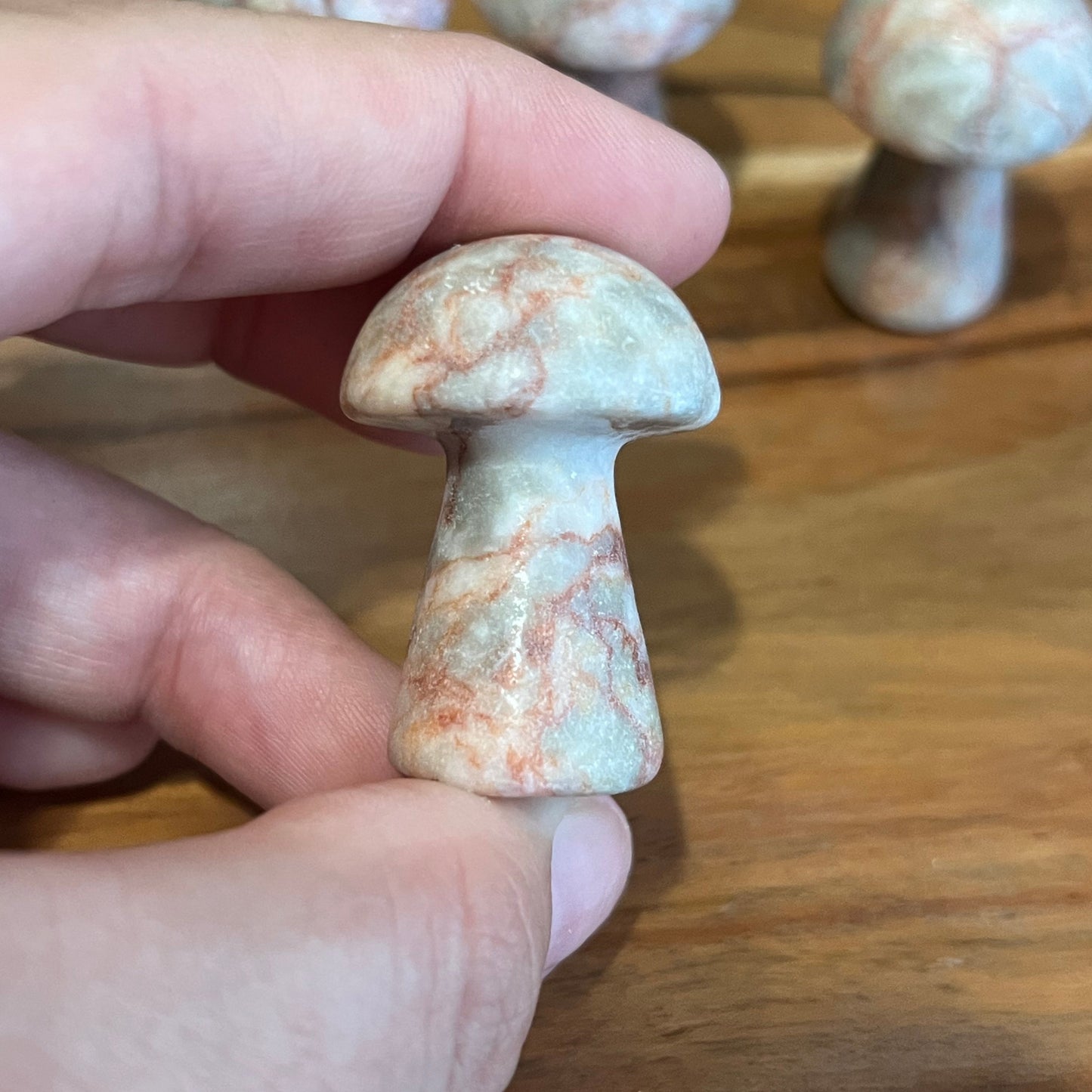 Red Vein Jasper Mushroom