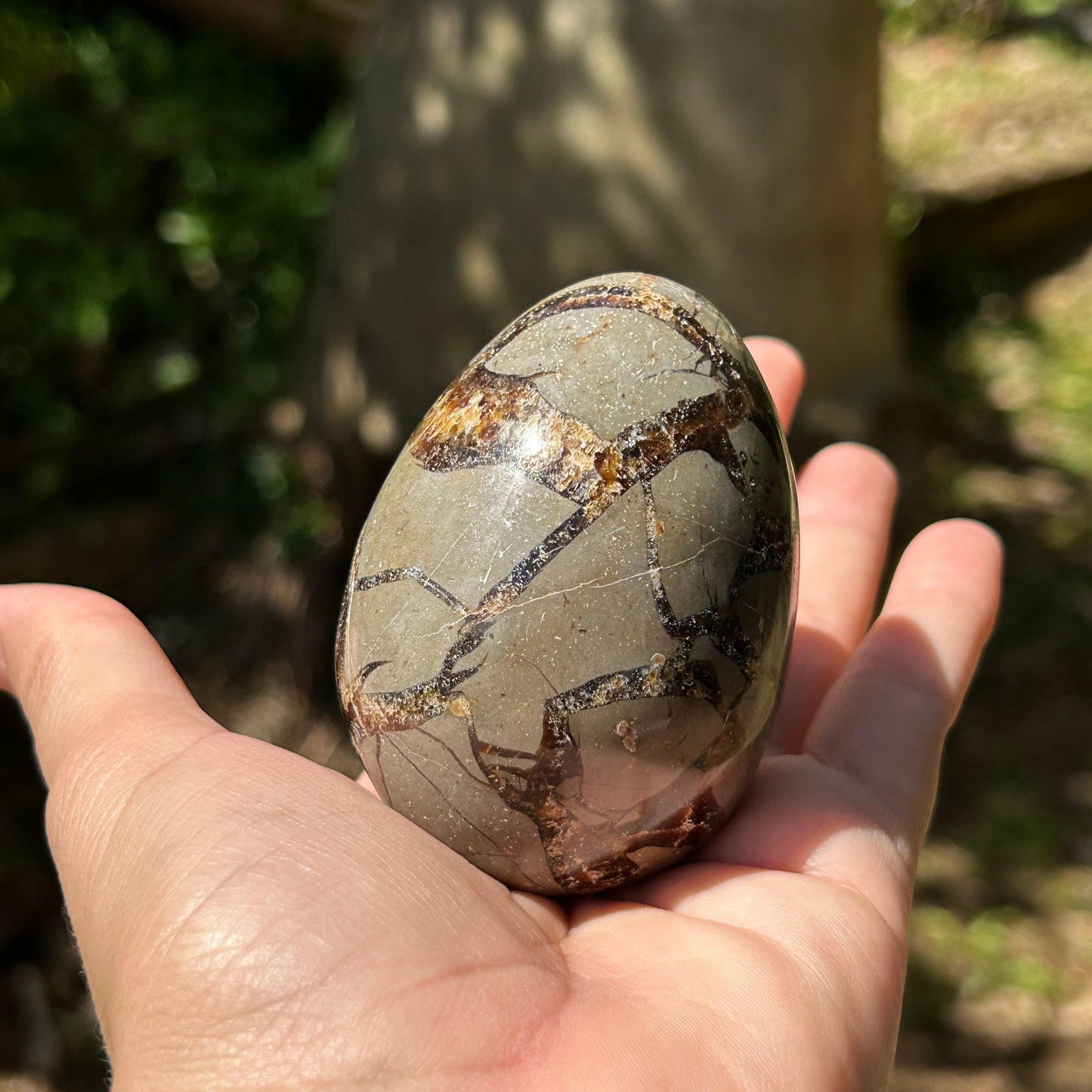 Septarian Egg