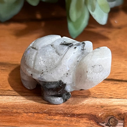 Moonstone Turtle