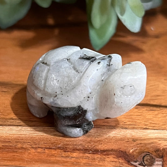 Moonstone Turtle