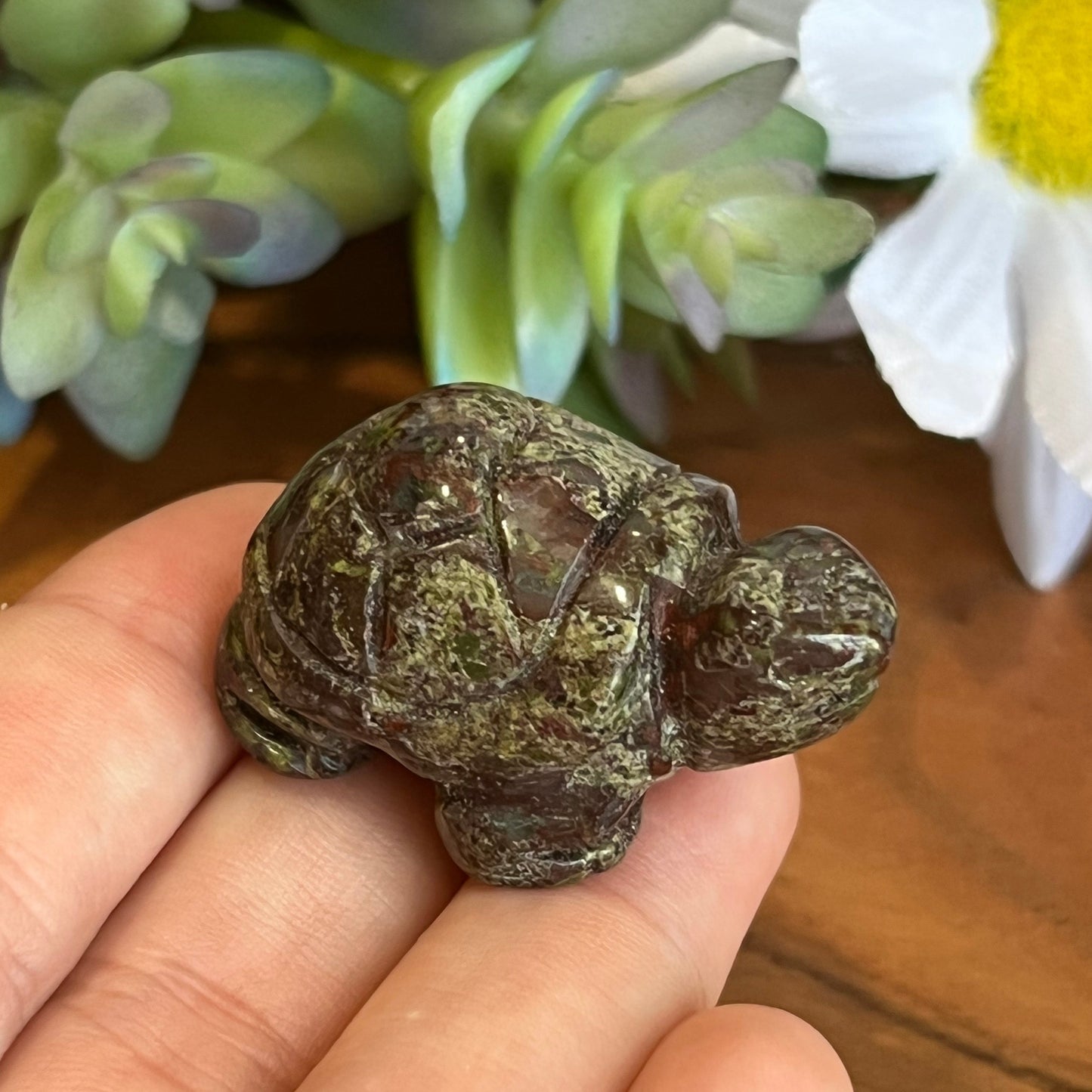 Dragon Blood Jasper Turtle