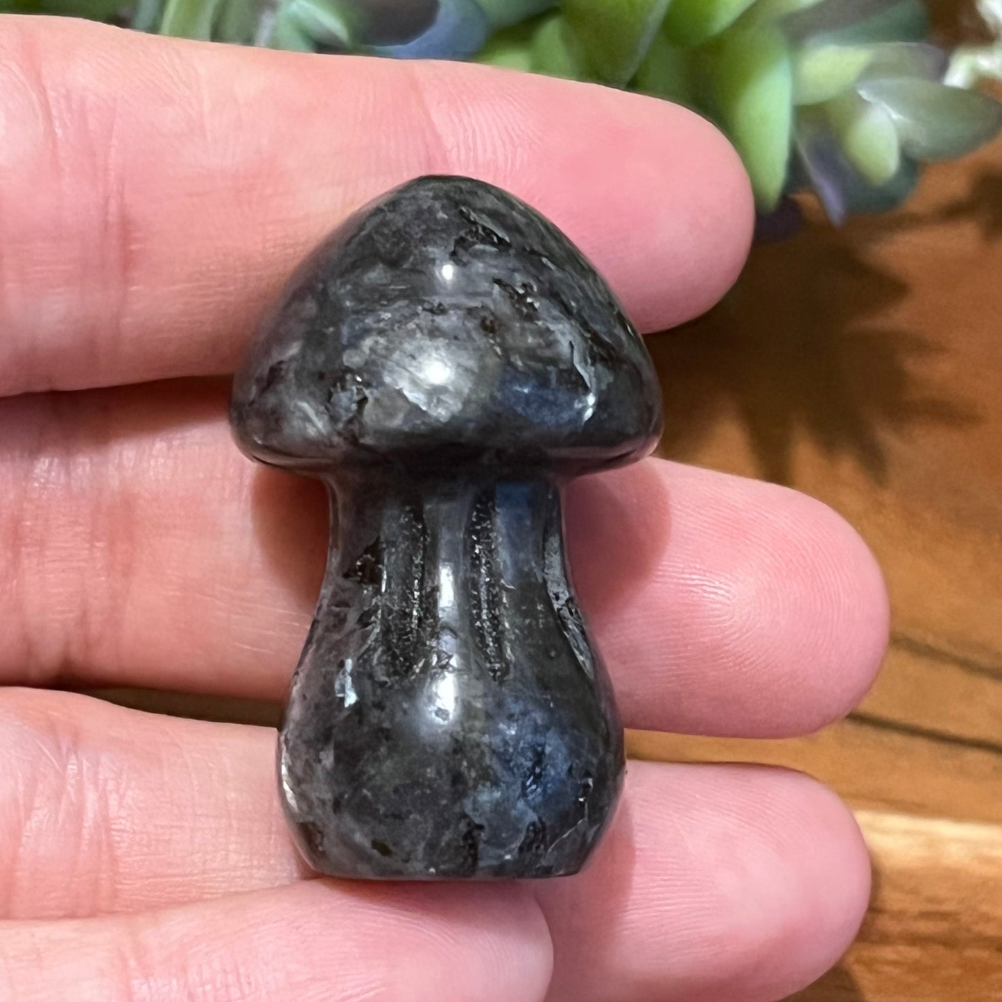 Labradorite Mushroom