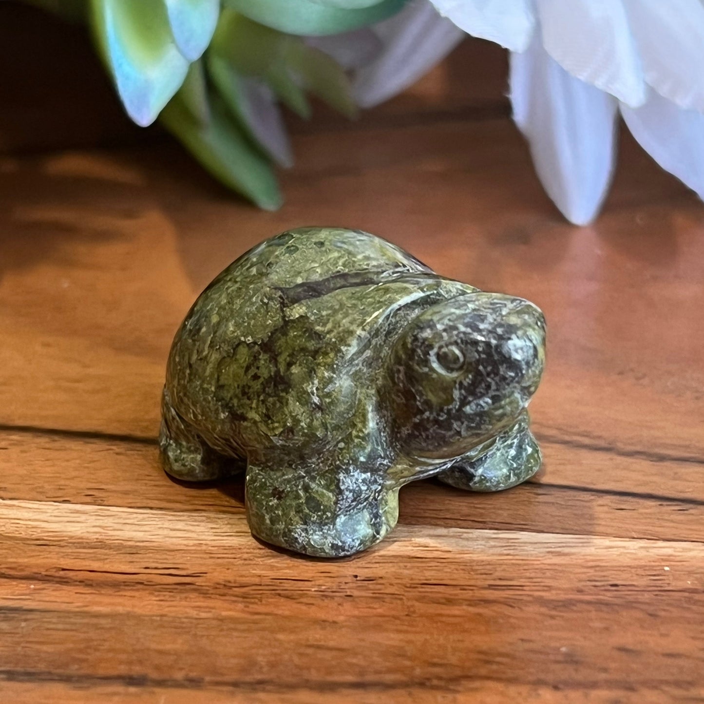 Dragon Blood Jasper Turtle