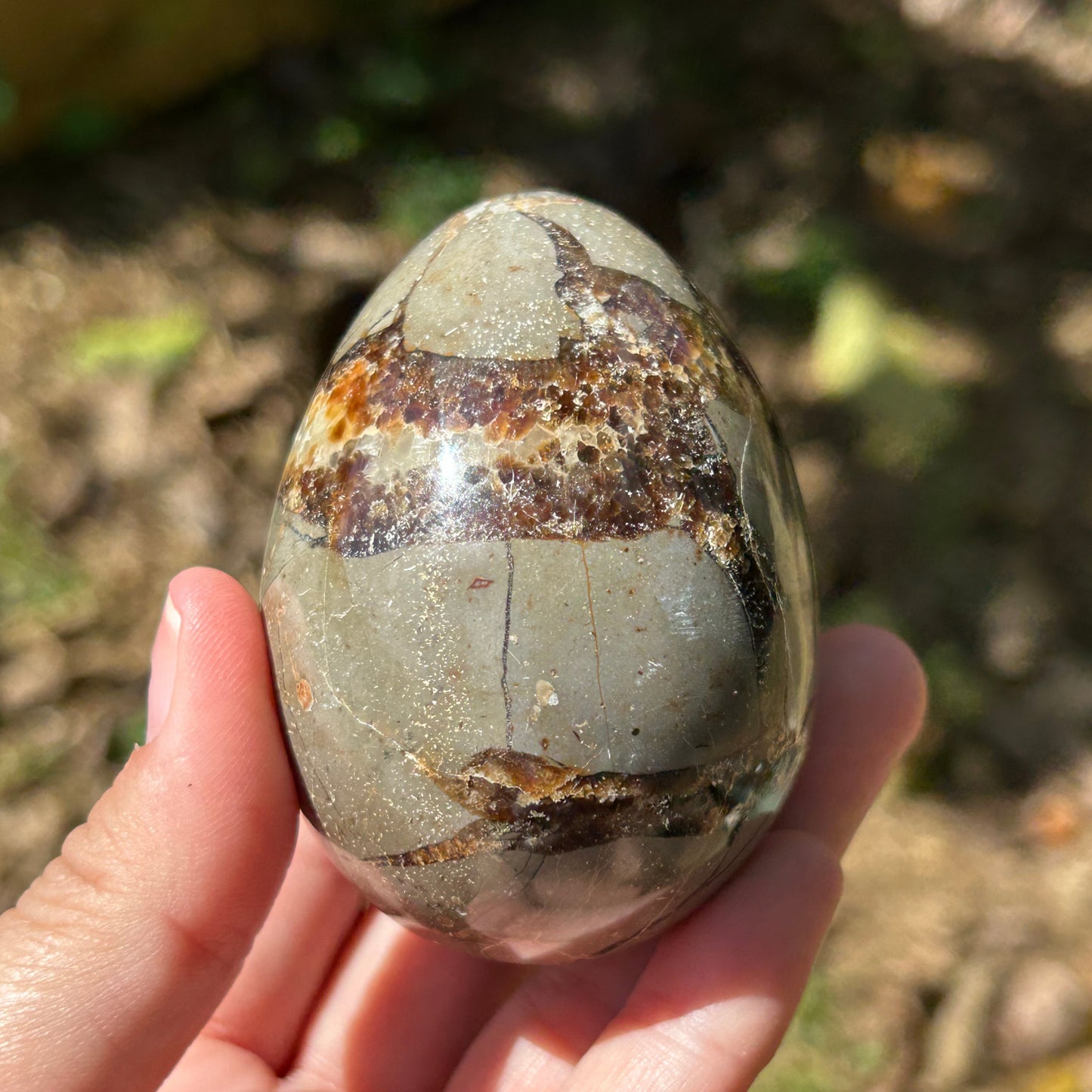 Septarian Egg