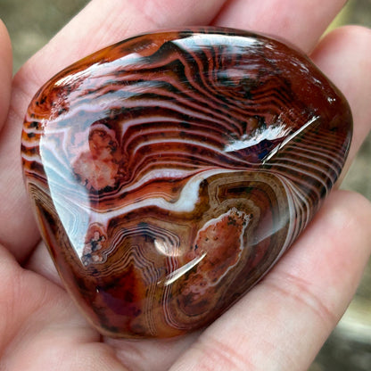 Sardonyx “Silk Agate” Palm Stone