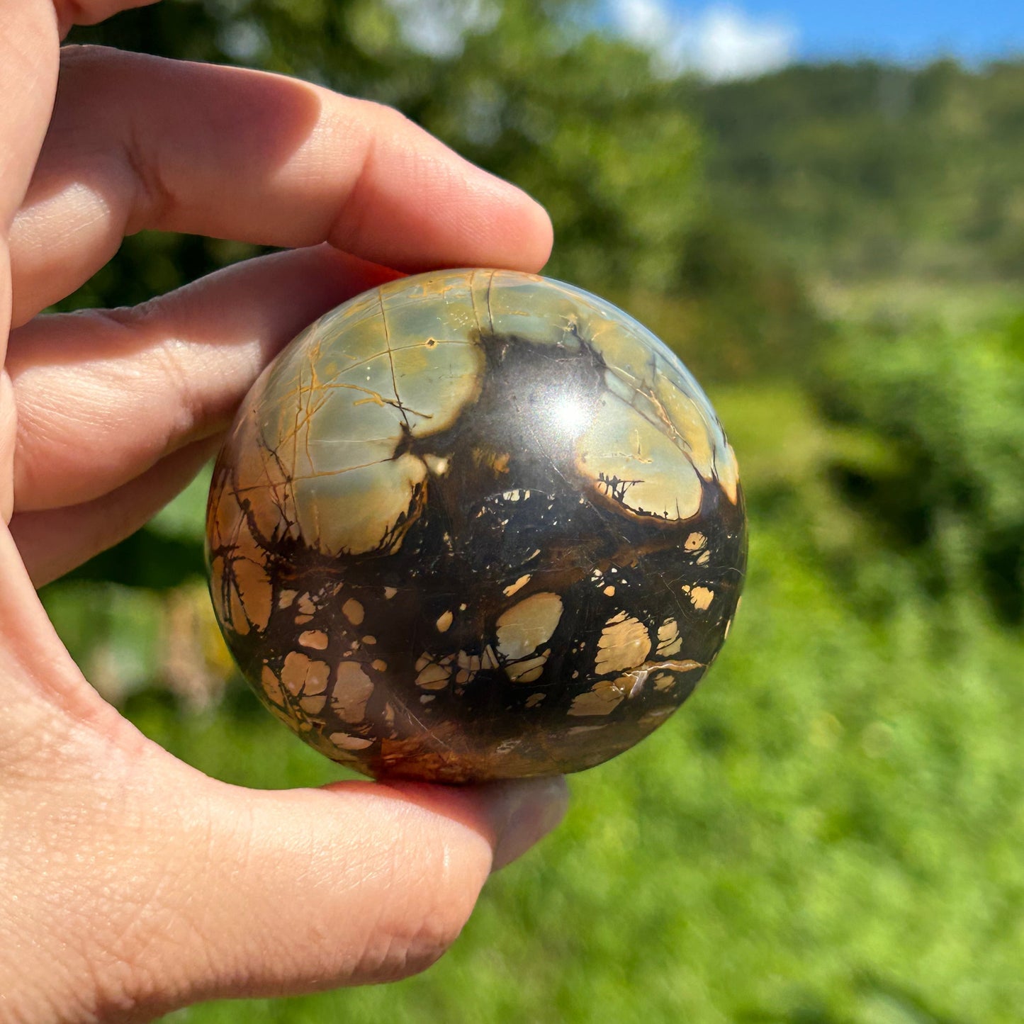 Rare Septarian Sphere