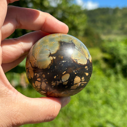 Rare Septarian Sphere