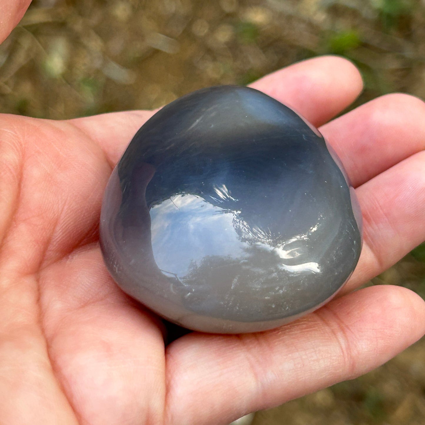 Agate Palm Stone