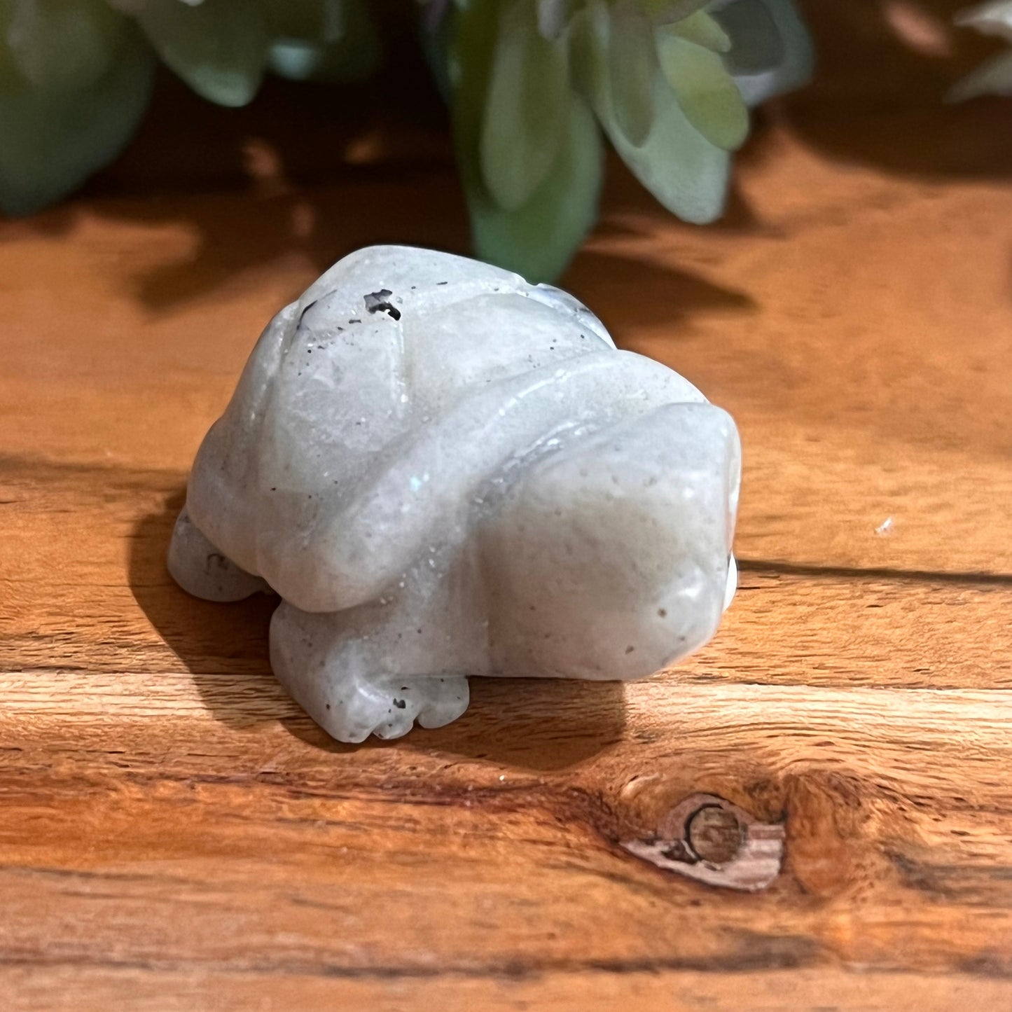 Moonstone Turtle