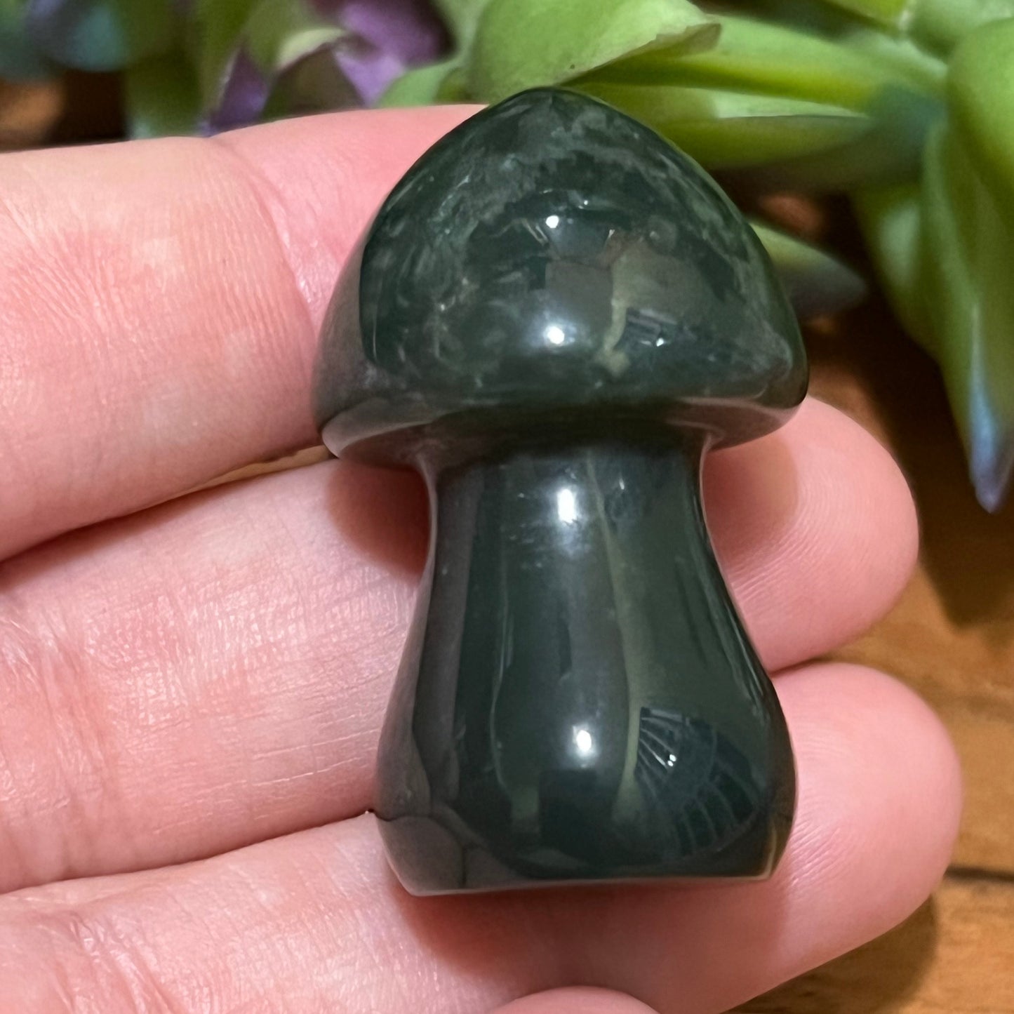 Ocean Jasper Mushroom