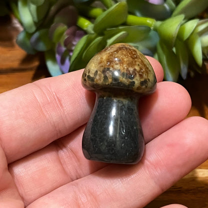 Ocean Jasper Mushroom