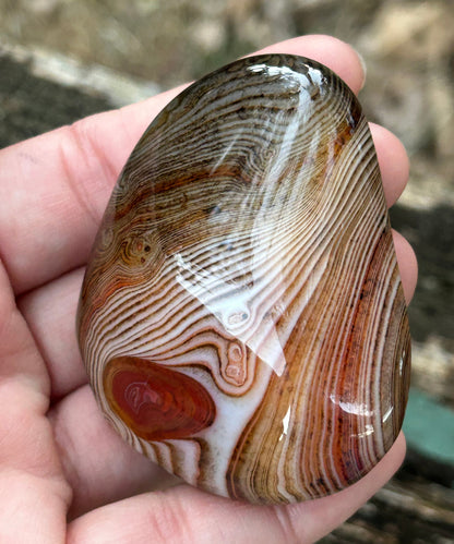 Sardonyx “Silk Agate” Palm Stone