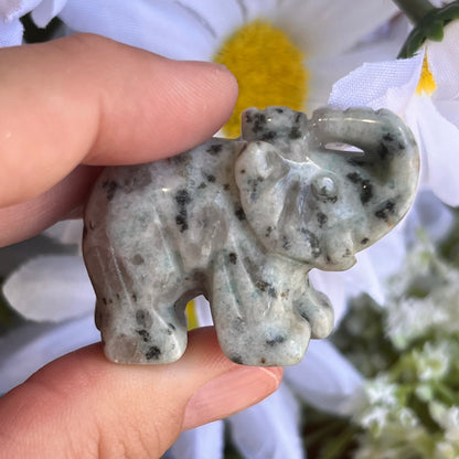 Kiwi Jasper Elephant