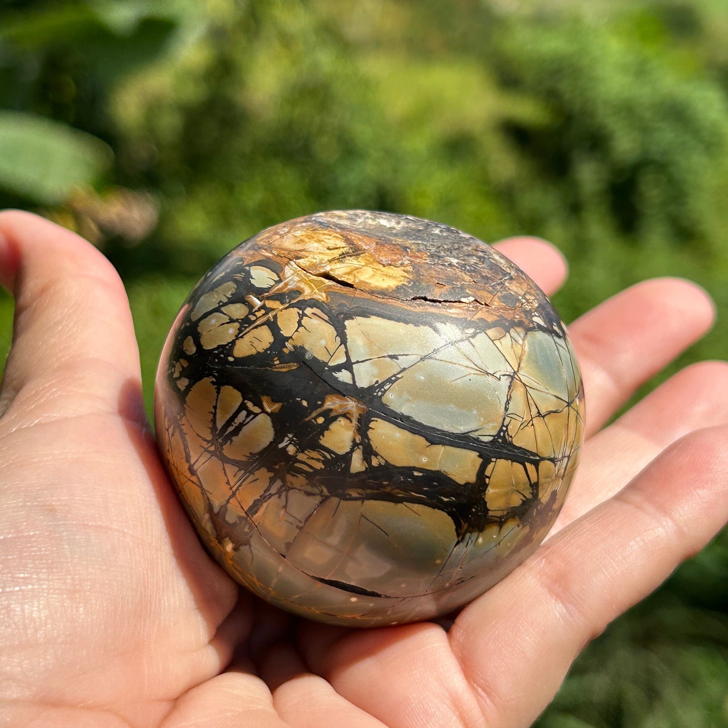 Rare Septarian Sphere